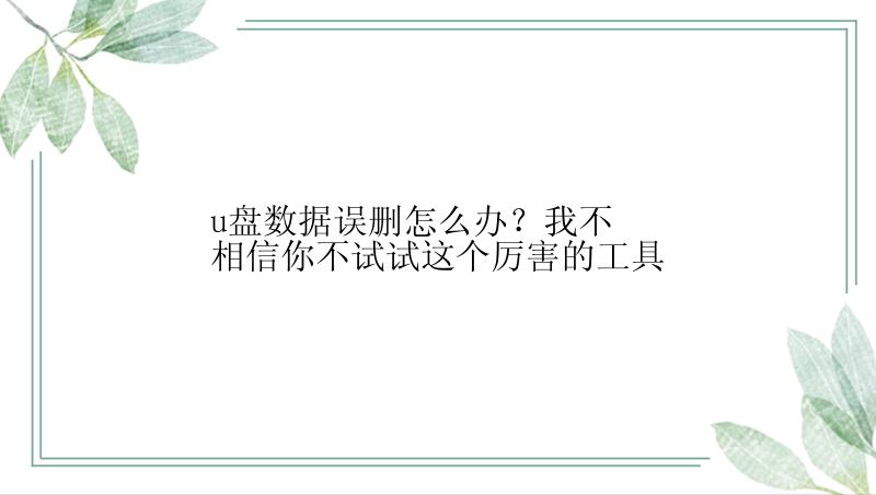 u盘数据误删怎么办？我不相信你不试试这个厉害的工具