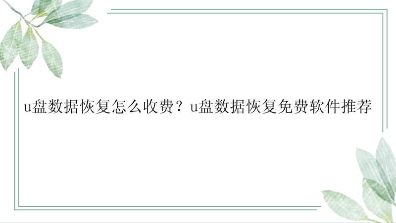 u盘数据恢复怎么收费？u盘数据恢复免费软件推荐