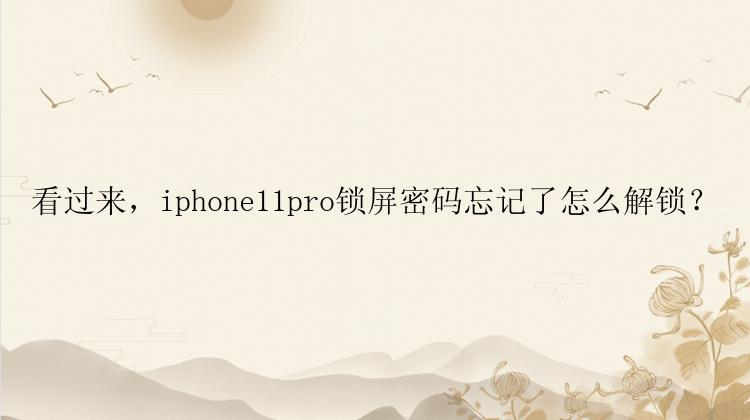 看过来，iphone11pro锁屏密码忘记了怎么解锁？