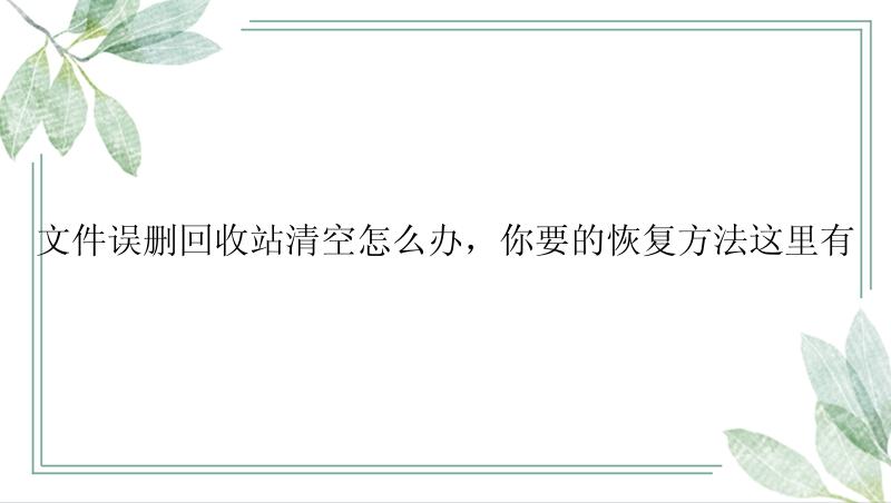 文件误删回收站清空怎么办，你要的恢复方法这里有