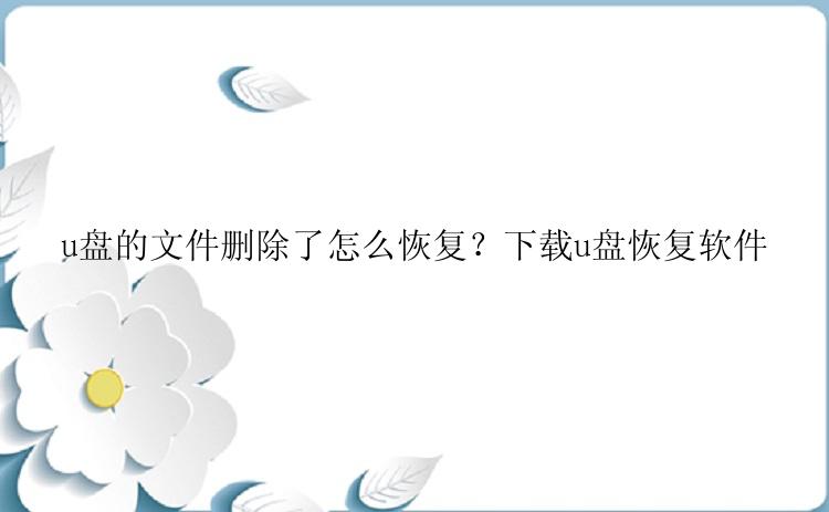 u盘的文件删除了怎么恢复？下载u盘恢复软件