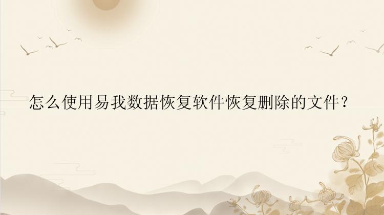 怎么使用易我数据恢复软件恢复删除的文件？