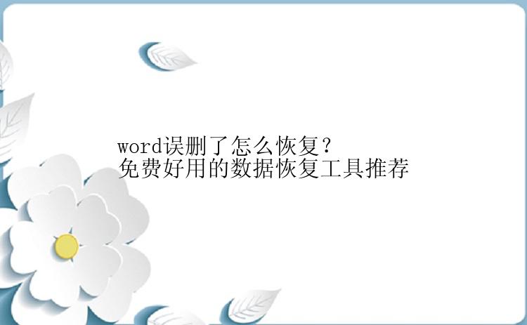 word误删了怎么恢复？免费好用的数据恢复工具推荐