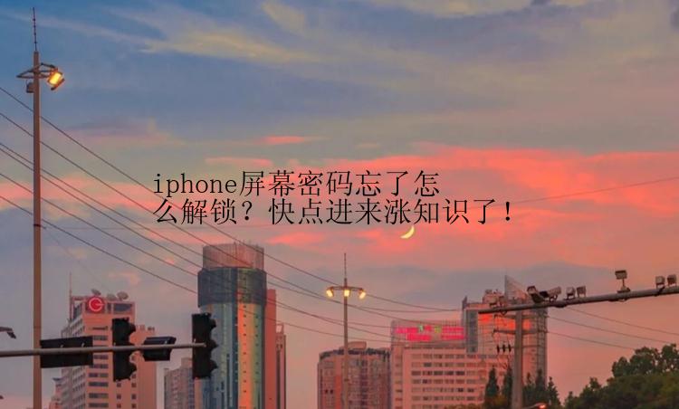 iphone屏幕密码忘了怎么解锁？快点进来涨知识了！