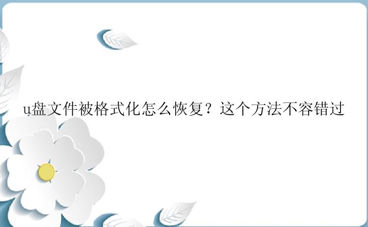 u盘文件被格式化怎么恢复？这个方法不容错过