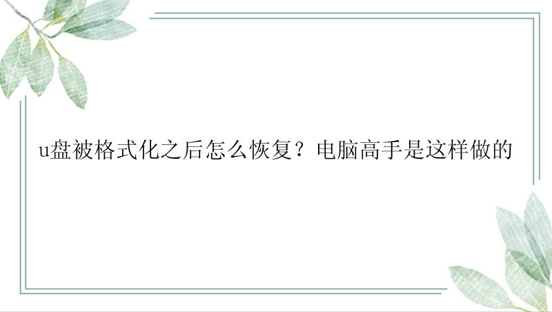 u盘被格式化之后怎么恢复？电脑高手是这样做的