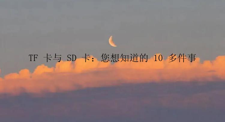 TF 卡与 SD 卡：您想知道的 10 多件事