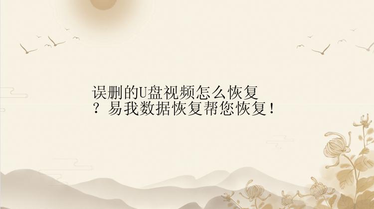 误删的U盘视频怎么恢复？易我数据恢复帮您恢复！