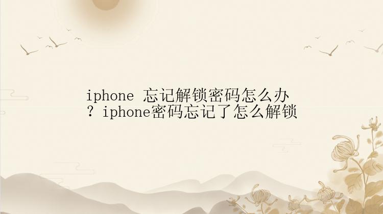 iphone 忘记解锁密码怎么办？iphone密码忘记了怎么解锁