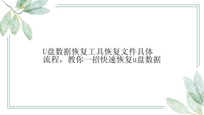 U盘数据恢复工具恢复文件具体流程，教你一招快速恢复u盘数据