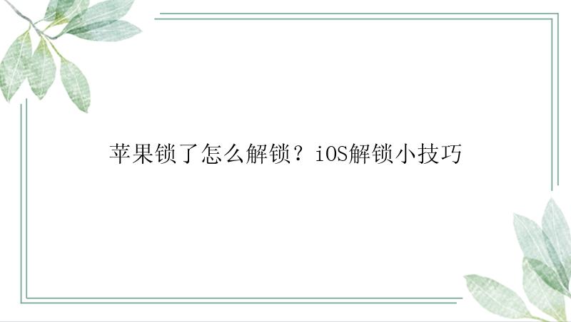 苹果锁了怎么解锁？iOS解锁小技巧