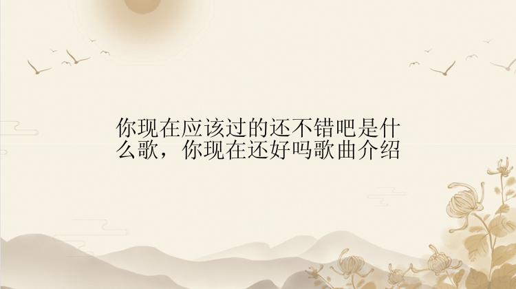 你现在应该过的还不错吧是什么歌，你现在还好吗歌曲介绍