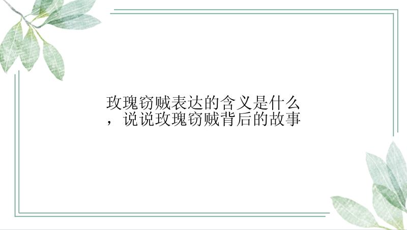 玫瑰窃贼表达的含义是什么，说说玫瑰窃贼背后的故事