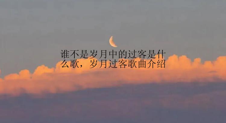 谁不是岁月中的过客是什么歌，岁月过客歌曲介绍