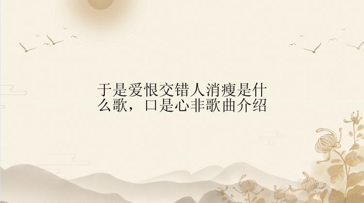 于是爱恨交错人消瘦是什么歌，口是心非歌曲介绍