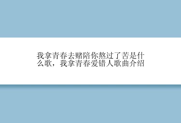 我拿青春去赌陪你熬过了苦是什么歌，我拿青春爱错人歌曲介绍