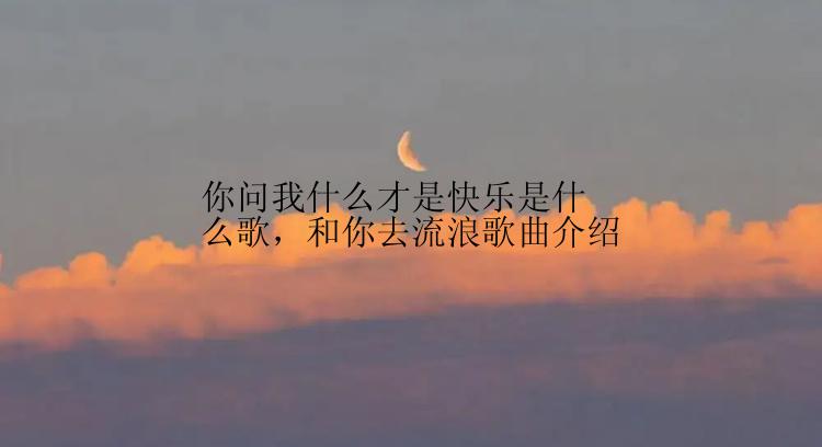 你问我什么才是快乐是什么歌，和你去流浪歌曲介绍