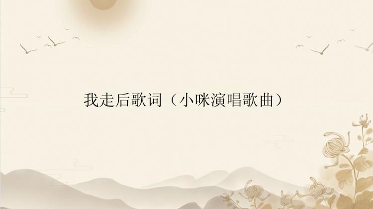 我走后歌词（小咪演唱歌曲）