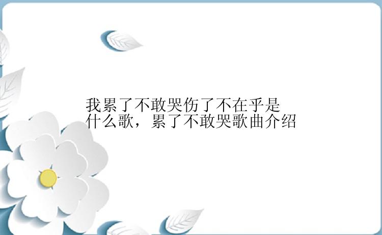 我累了不敢哭伤了不在乎是什么歌，累了不敢哭歌曲介绍