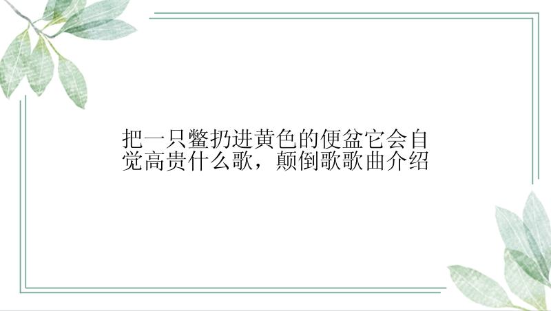 把一只鳖扔进黄色的便盆它会自觉高贵什么歌，颠倒歌歌曲介绍