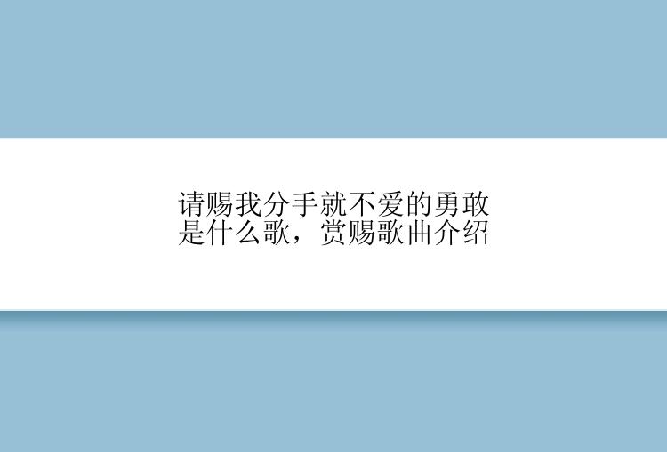 请赐我分手就不爱的勇敢是什么歌，赏赐歌曲介绍