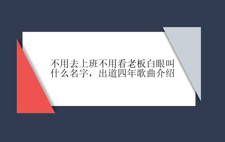 不用去上班不用看老板白眼叫什么名字，出道四年歌曲介绍