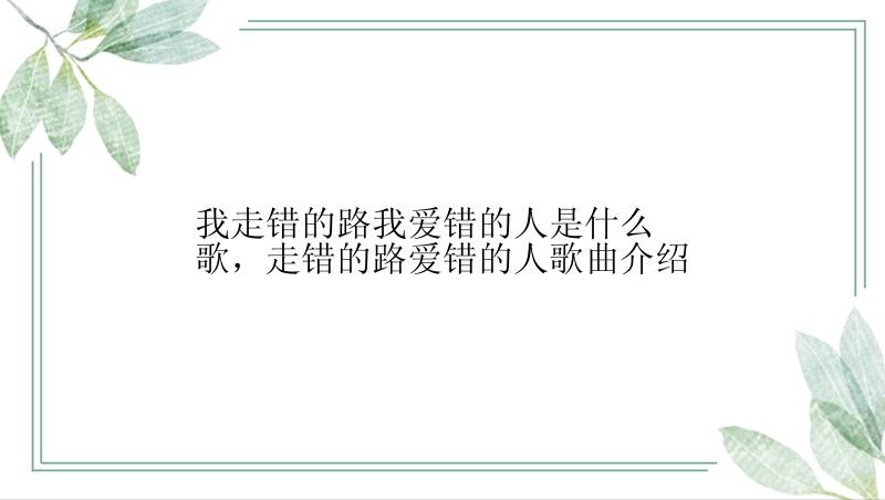 我走错的路我爱错的人是什么歌，走错的路爱错的人歌曲介绍