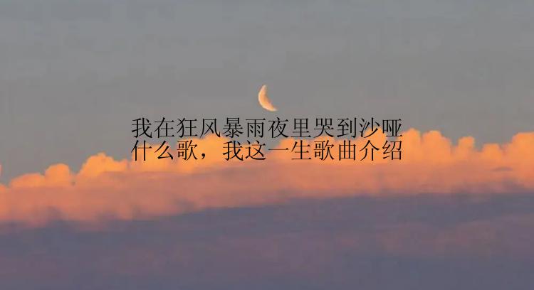 我在狂风暴雨夜里哭到沙哑什么歌，我这一生歌曲介绍