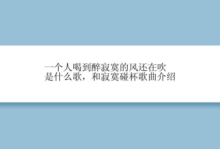 一个人喝到醉寂寞的风还在吹是什么歌，和寂寞碰杯歌曲介绍