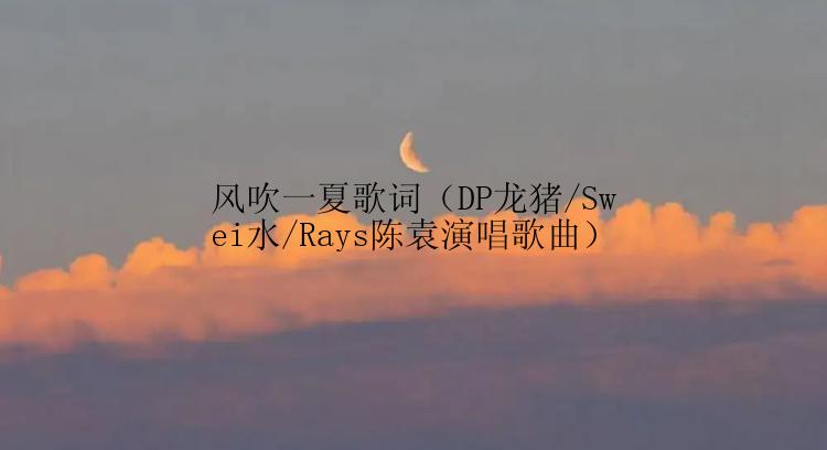 风吹一夏歌词（DP龙猪/Swei水/Rays陈袁演唱歌曲）