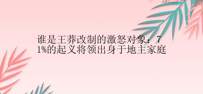 谁是王莽改制的激怒对象：71%的起义将领出身于地主家庭