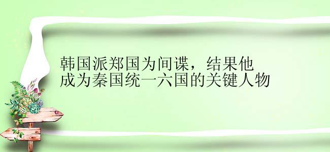 韩国派郑国为间谍，结果他成为秦国统一六国的关键人物