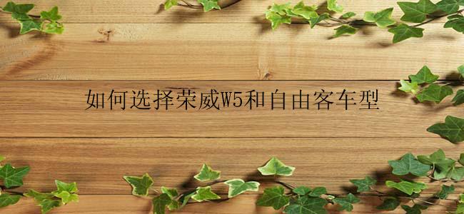 如何选择荣威W5和自由客车型