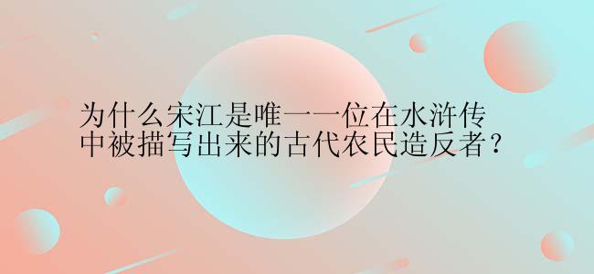 为什么宋江是唯一一位在水浒传中被描写出来的古代农民造反者？