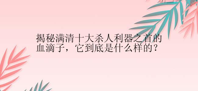 揭秘满清十大杀人利器之首的血滴子，它到底是什么样的？