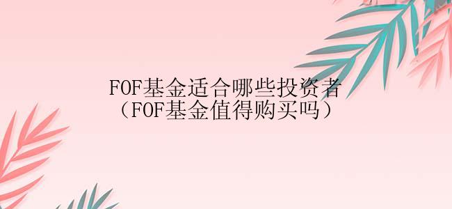 FOF基金适合哪些投资者（FOF基金值得购买吗）