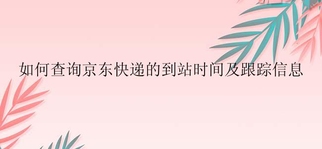 如何查询京东快递的到站时间及跟踪信息