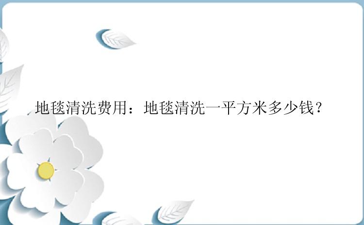 地毯清洗费用：地毯清洗一平方米多少钱？