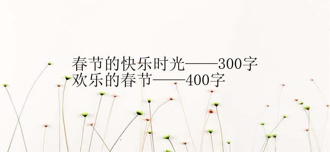 春节的快乐时光——300字
欢乐的春节——400字