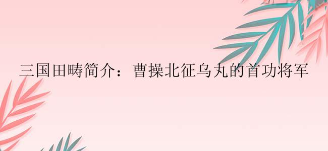 三国田畴简介：曹操北征乌丸的首功将军