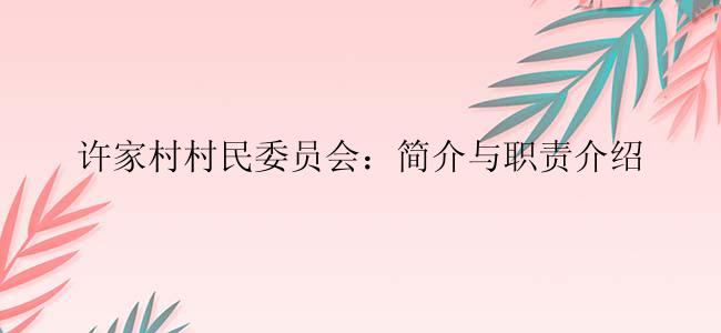 许家村村民委员会：简介与职责介绍