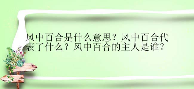 风中百合是什么意思？风中百合代表了什么？风中百合的主人是谁？