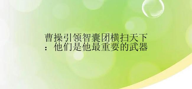 曹操引领智囊团横扫天下：他们是他最重要的武器