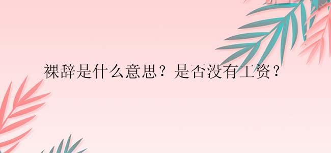 裸辞是什么意思？是否没有工资？