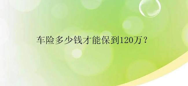 车险多少钱才能保到120万？