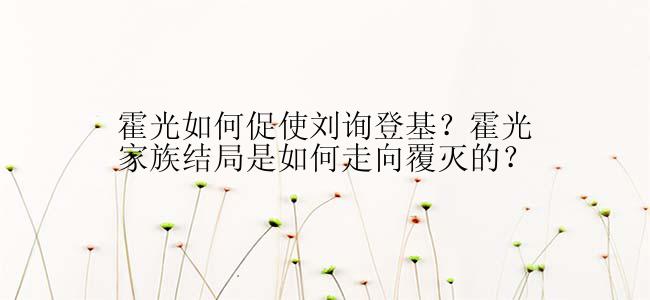 霍光如何促使刘询登基？霍光家族结局是如何走向覆灭的？