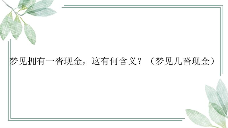 梦见拥有一沓现金，这有何含义？（梦见几沓现金）