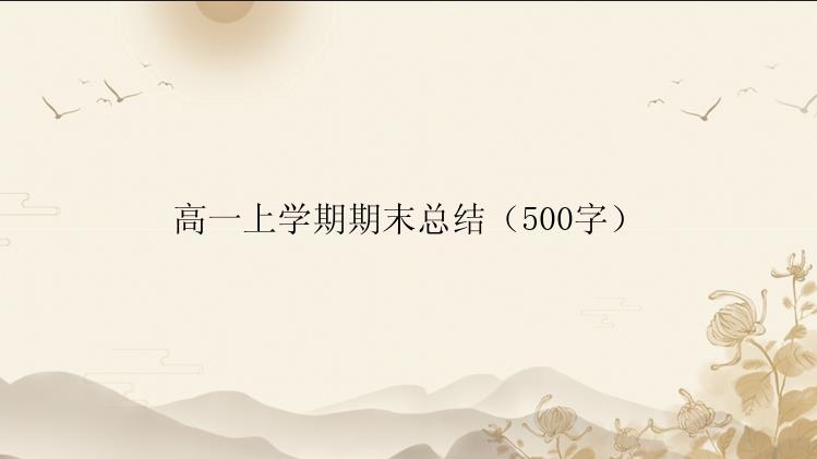 高一上学期期末总结（500字）