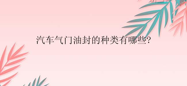 汽车气门油封的种类有哪些?