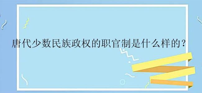 唐代少数民族政权的职官制是什么样的？